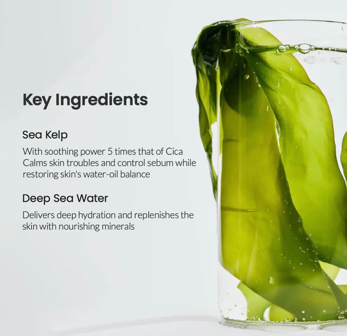 Biodance Refreshing Sea Kelp Real Deep Mask